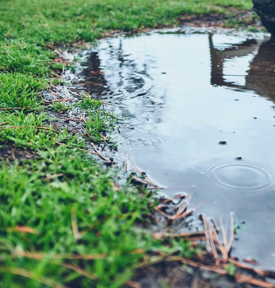 signs your septic needs pumping